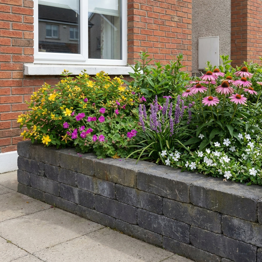 Mixed perennial border with yellow St John's wort, pink coneflowers, purple liatris and white saxifrage in raised stone…