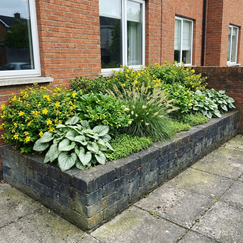 Perennial Border Package Warsaw styled in an Irish home interior